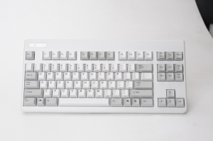 Plans to buy a Realforce 87U Tenkeyless 55g (White/Gray) 82964-0