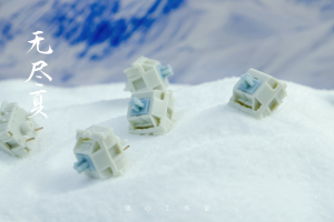 【Stock】Endless Summer switches 296924-7
