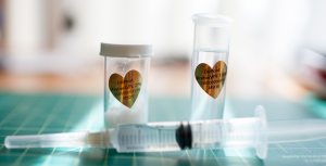 GEEKHACKERS.ORG TEMPORARY STORE 33940-0