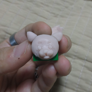 Making keycaps - TokKeys 256770-4