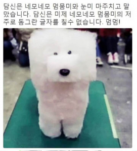 Making keycaps - TokKeys 256774-5