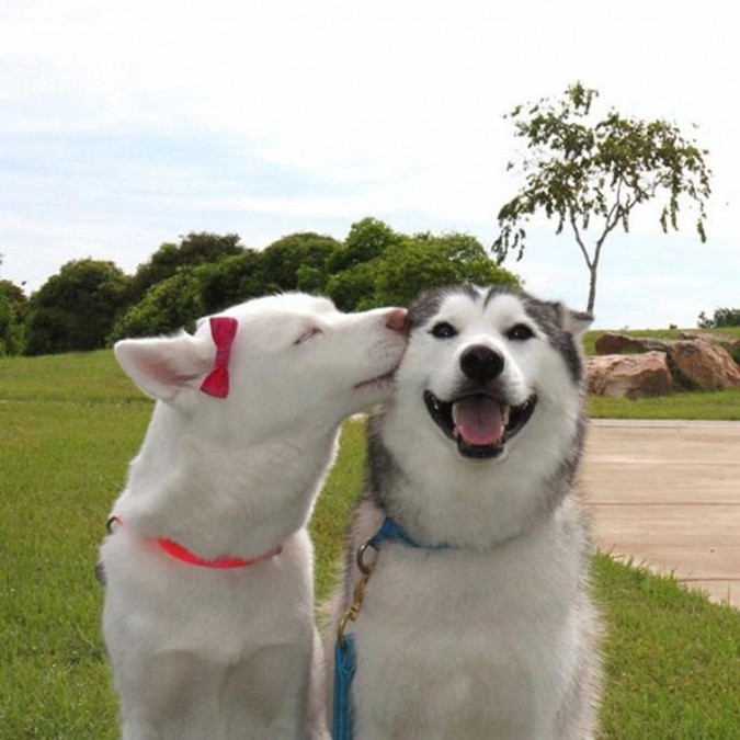 just post aww 109930-0