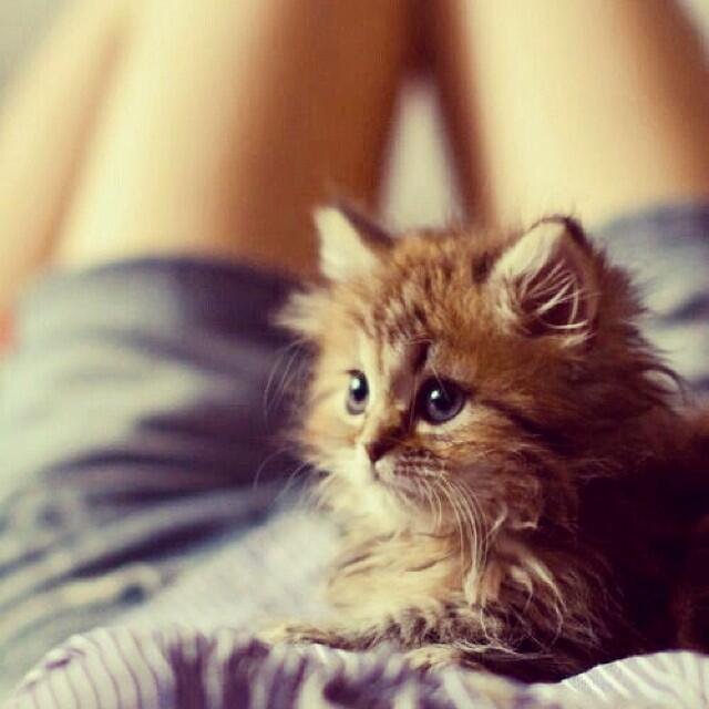 just post aww