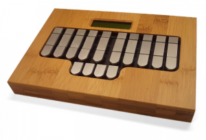 Ergodox with Plover/Chorded/Stenography? 50728-0