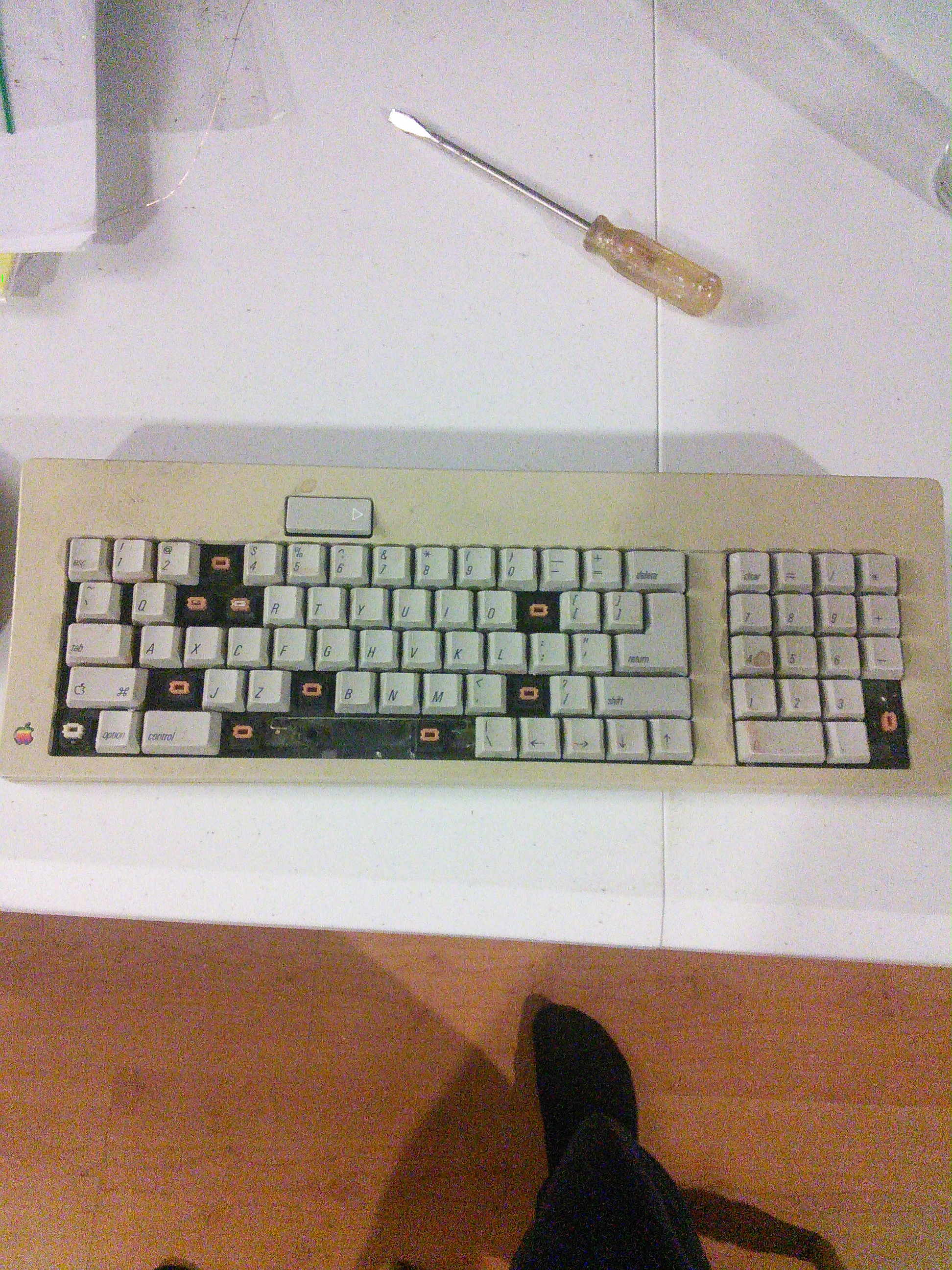 Apple M0116 with orange alps 84775-0