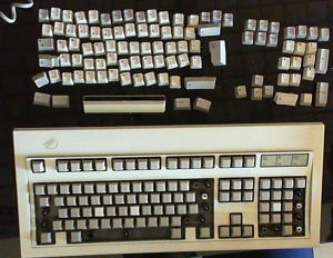 Cleaning my first Model M 179138-1