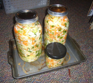 kimchi-2015-fermenting.JPG