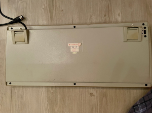 Is it a Focus Fk555 and are they Alps Blue?? 282533-0