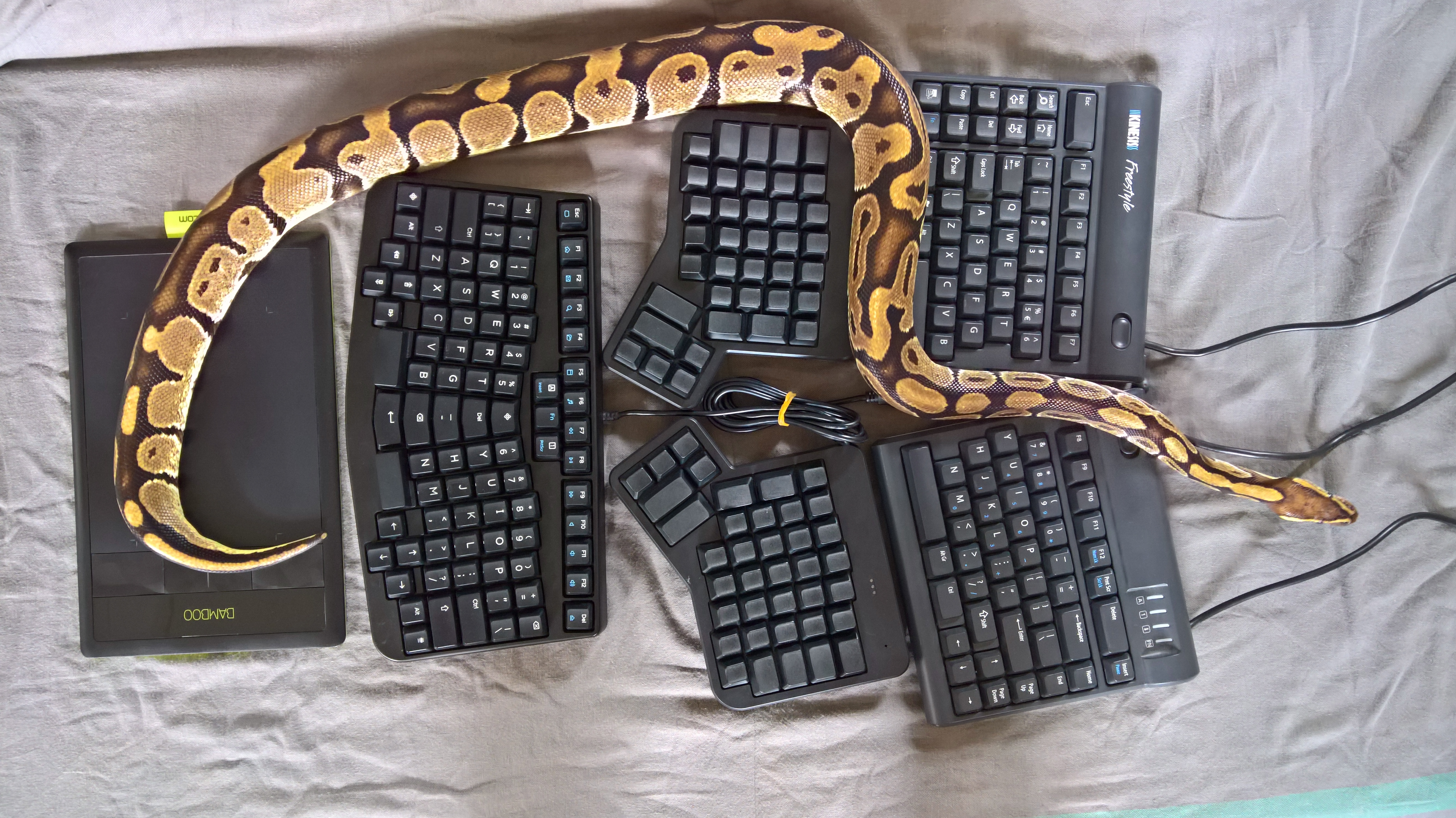 Visual comparison: ErgoDox EZ, Truly Ergonomic Keyboard and Kinesis Freestyle 172749-17