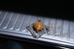 Let's see what you got rachel! - A Wild Story 204367-0