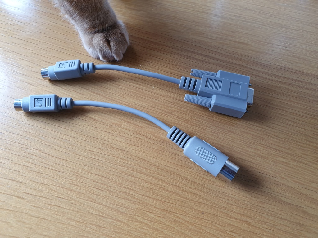 What did you get in the mail today? 243142-1