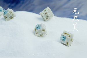 【Stock】Endless Summer switches 296922-6