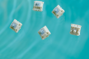 【Stock】Endless Summer switches 296928-9