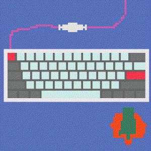 Crypto Keebs NFT 267100-1
