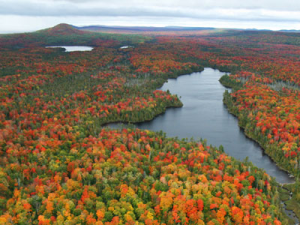 The CopperDog - A 65% Custom, Inspired by the Keweenaw 122385-1