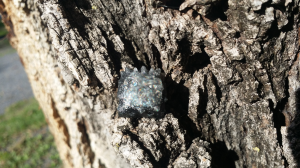 Post your Nightcaps! 181910-1