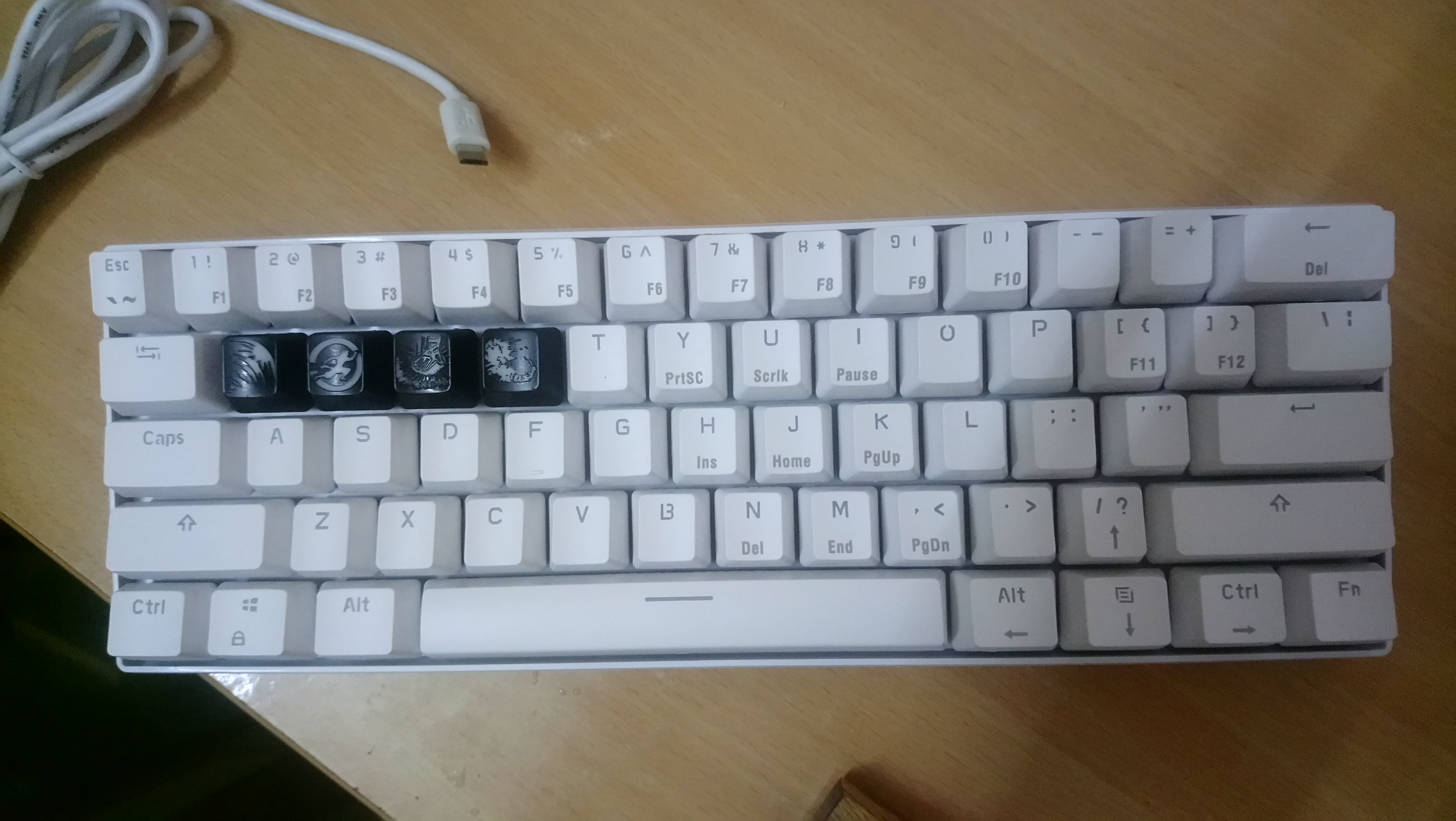 Gnass Alt 61, need assistant 180164-0