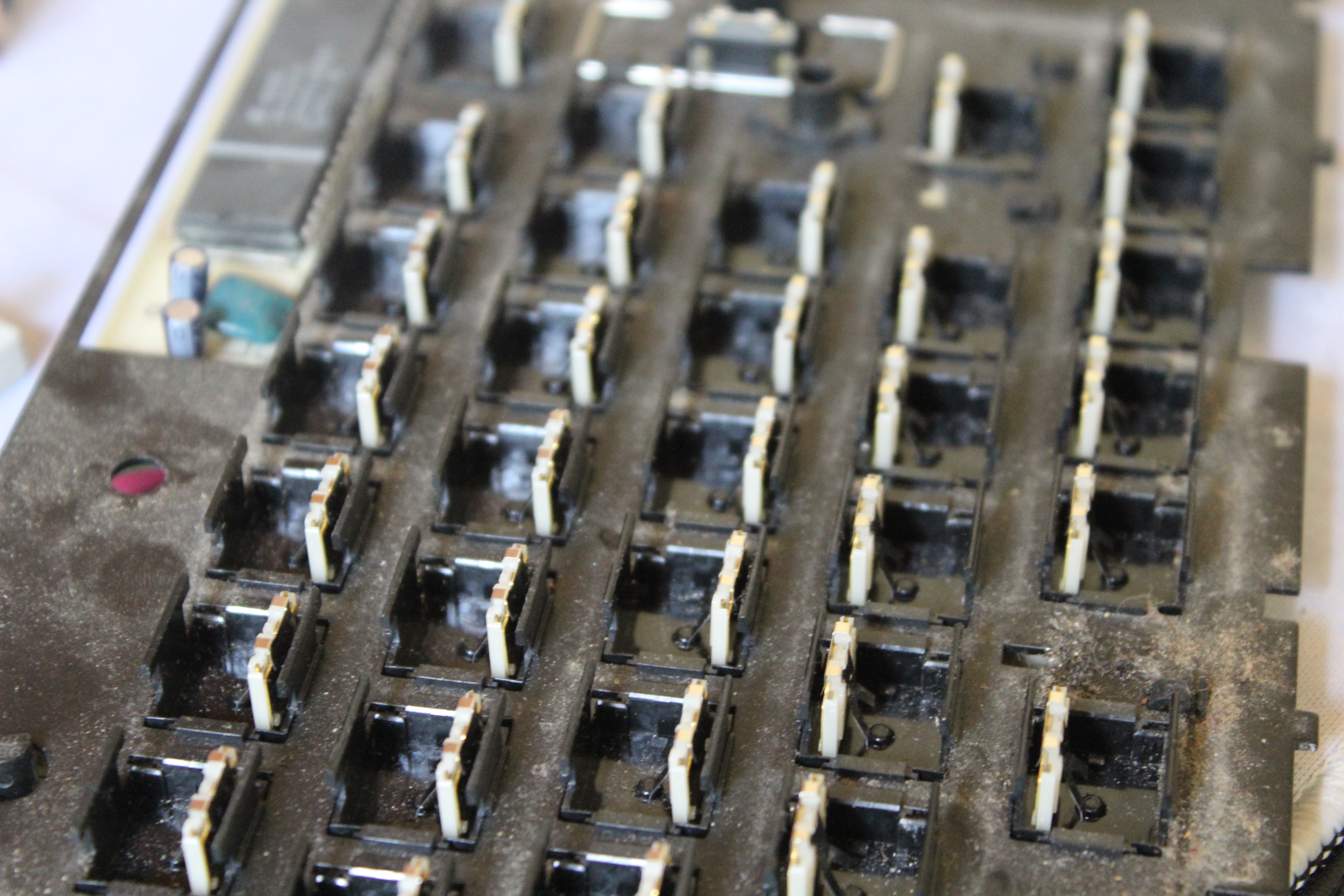 Treeleaf's Alps restoration project/ guide ~ 251286-2