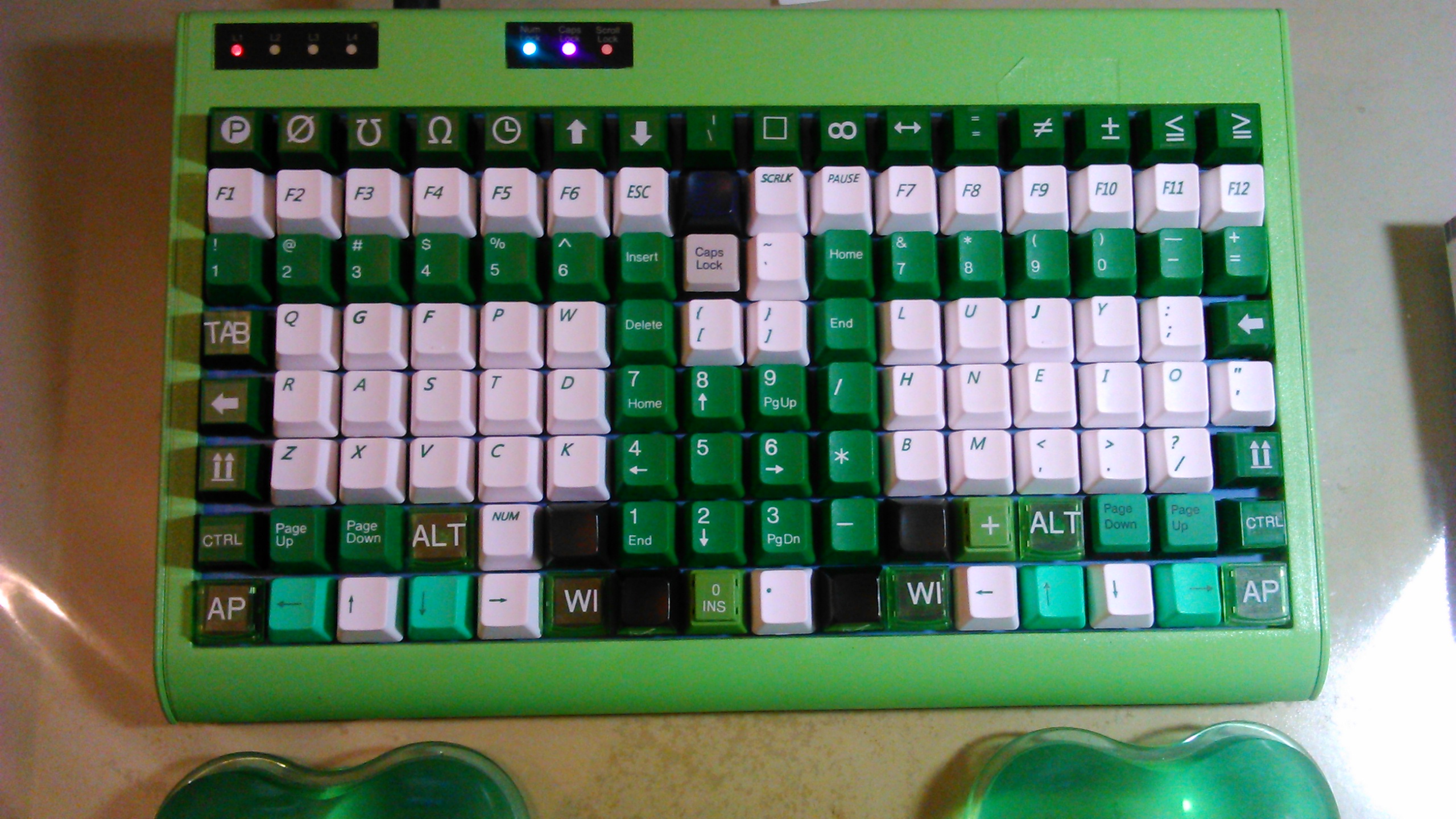 Gutz’s beloved Tipro. 101318-0