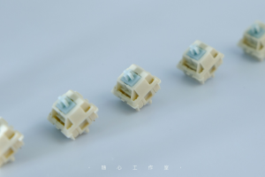 【Stock】Endless Summer switches 296914-3