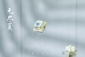 【Stock】Endless Summer switches 296918-4