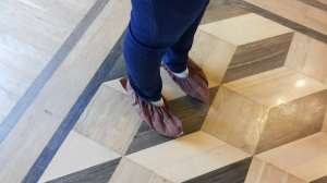 What did you do today? 79042-0