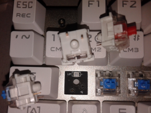 Review of Teamwolf CIY Zhuque Keyboard with Blue Outemu switches 167886-3
