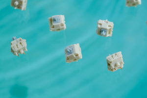 【Stock】Endless Summer switches 296930-10