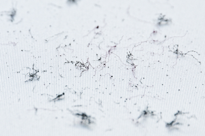 Evaluation of Dust and Fiber Resistance of Mechanical Keyswitches 317078-5