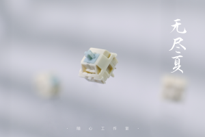 【Stock】Endless Summer switches 296926-8