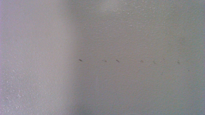 A comparison of Model F XT and Model F XT portable 75334-0