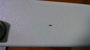 A comparison of Model F XT and Model F XT portable 75336-1