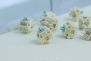【Stock】Endless Summer switches 296908-0