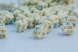 【Stock】Endless Summer switches 296910-1