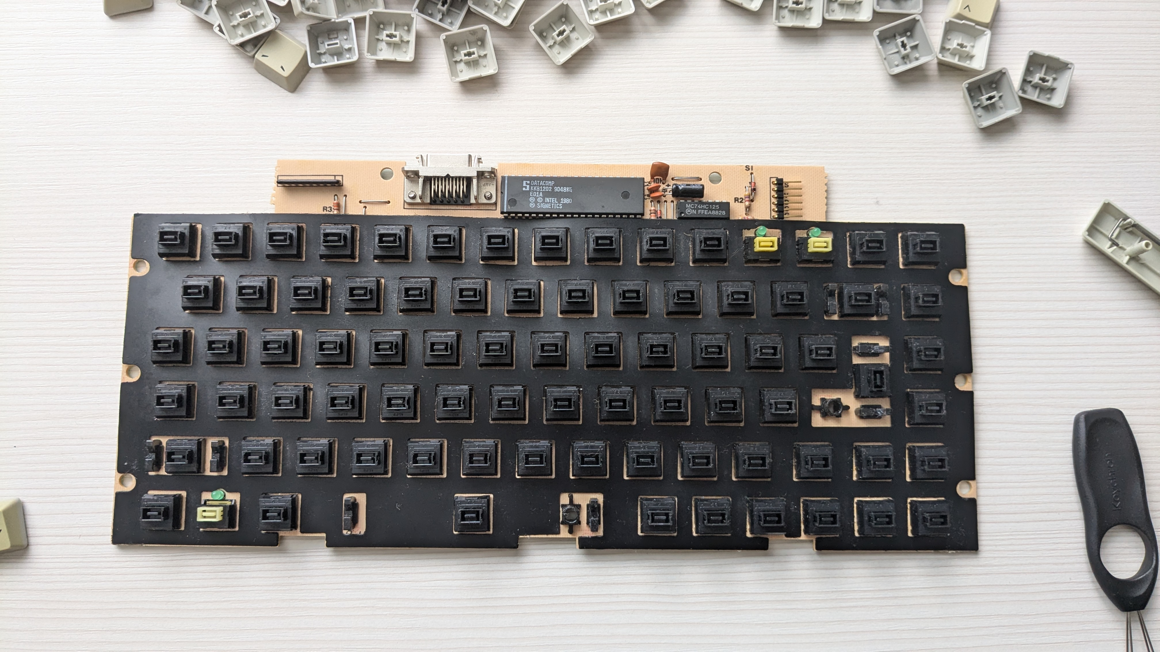 Datacomp DFK81-50B 309453-4