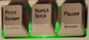 Unicomp NumLk-ScrLk.jpg