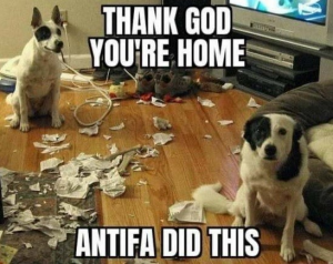 antifa-dogs.jpg