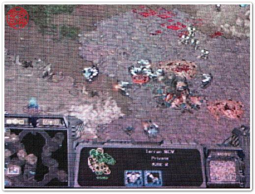 Post your life any pictures !