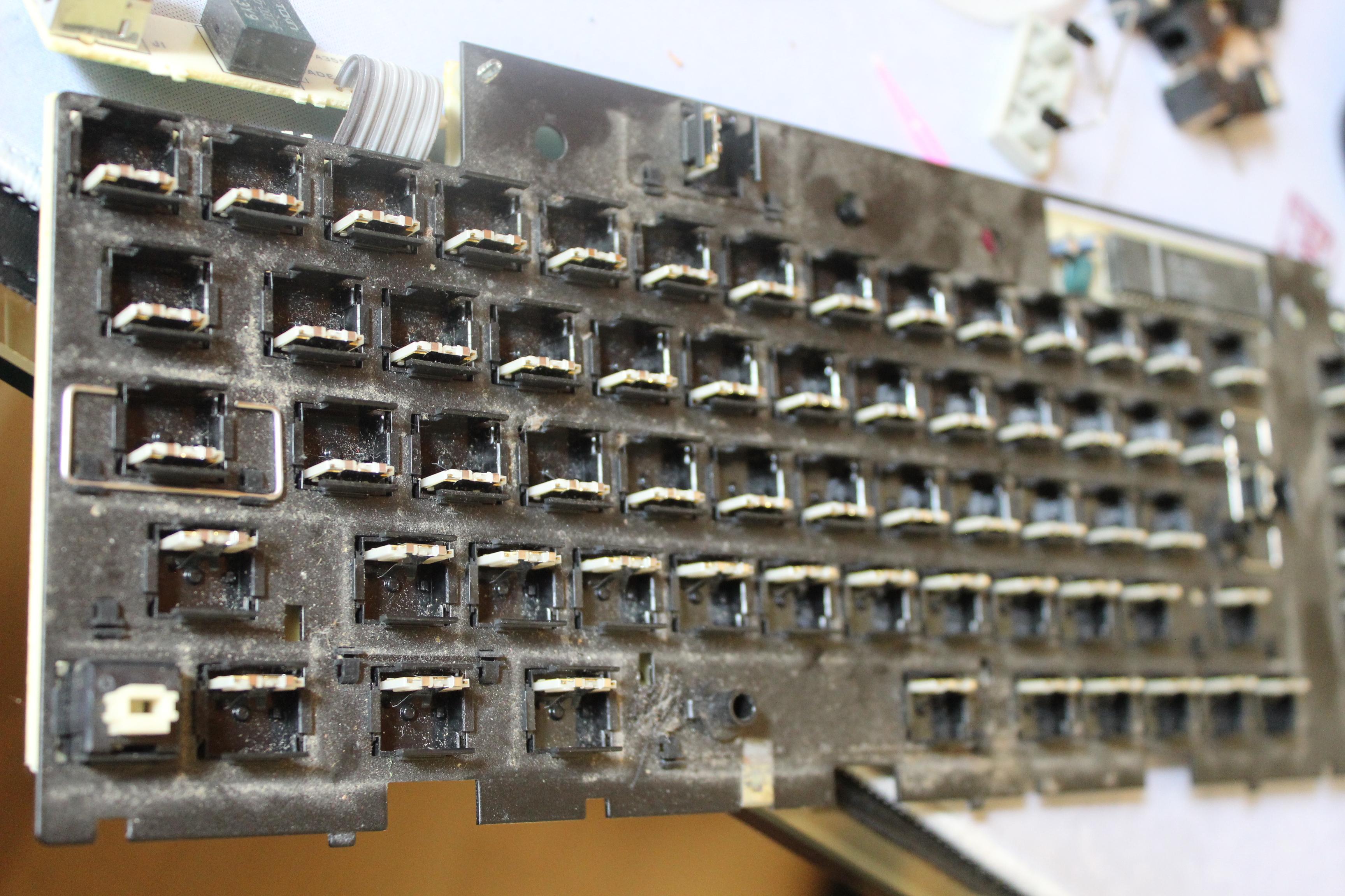 Treeleaf's Alps restoration project/ guide ~ 251284-1