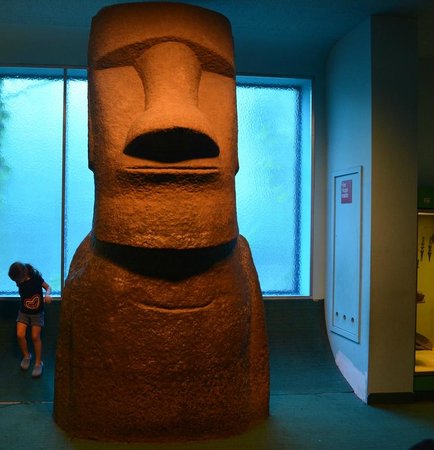 RAMAGE key Caps-HIBERNATING.......