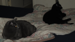 Post Your Desktop 121470-0