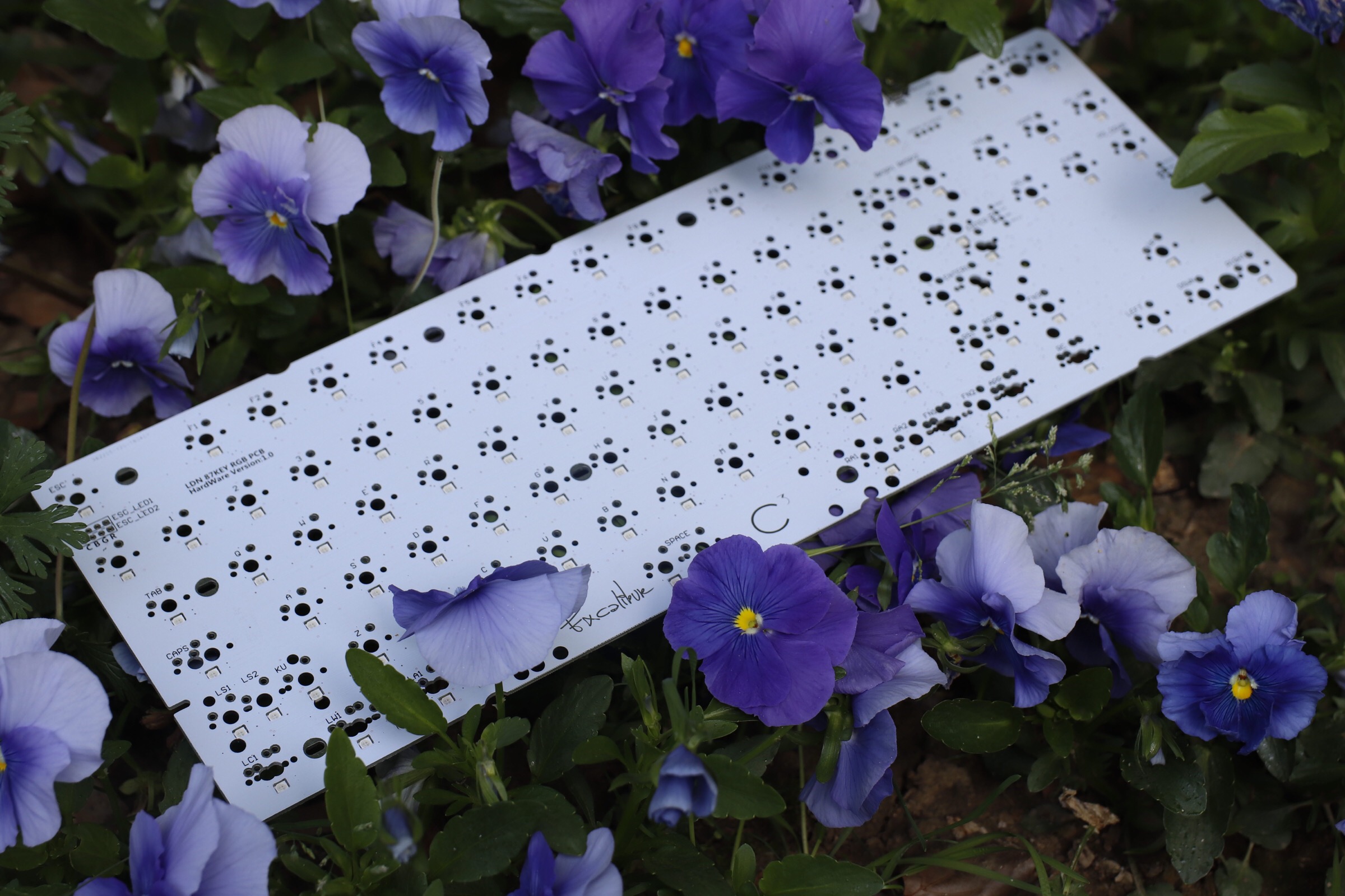 C³-LDN RGB80% PCB(Complete) 195902-5