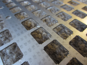 Phantom PLATES (shipping) 22833-4