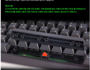 Filco Mejestouch 2 VS Leopold FC750R 84628-0