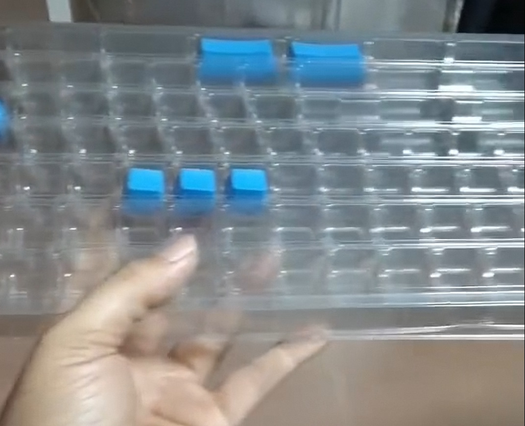 2025 12 04 blister packaging.jpg 315499-0