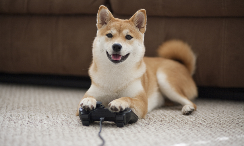 Daily Woof (Dog newsletter) 224770-0