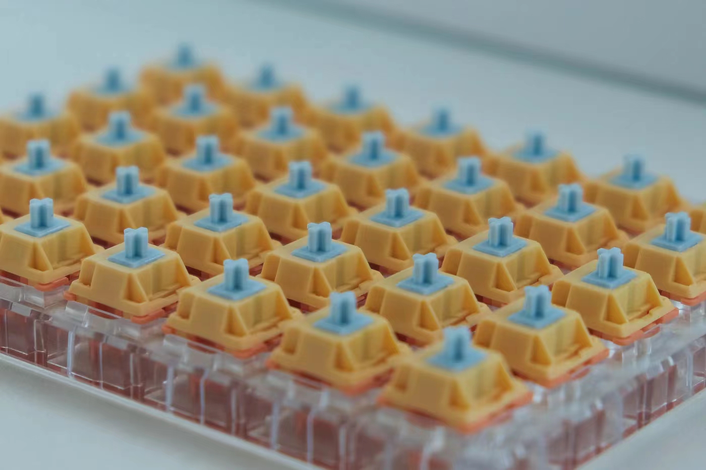 【IC】Autumn Rain switch . 282331-2