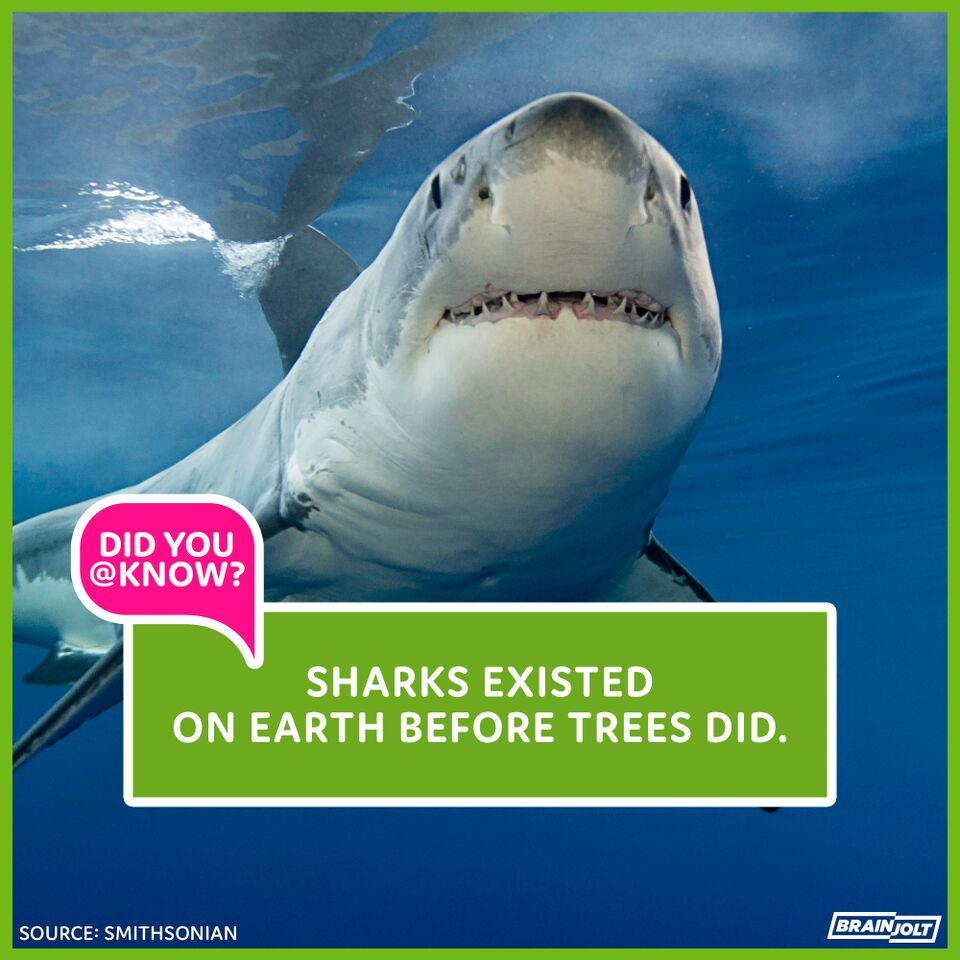 The Church Of Halverson 187148-0