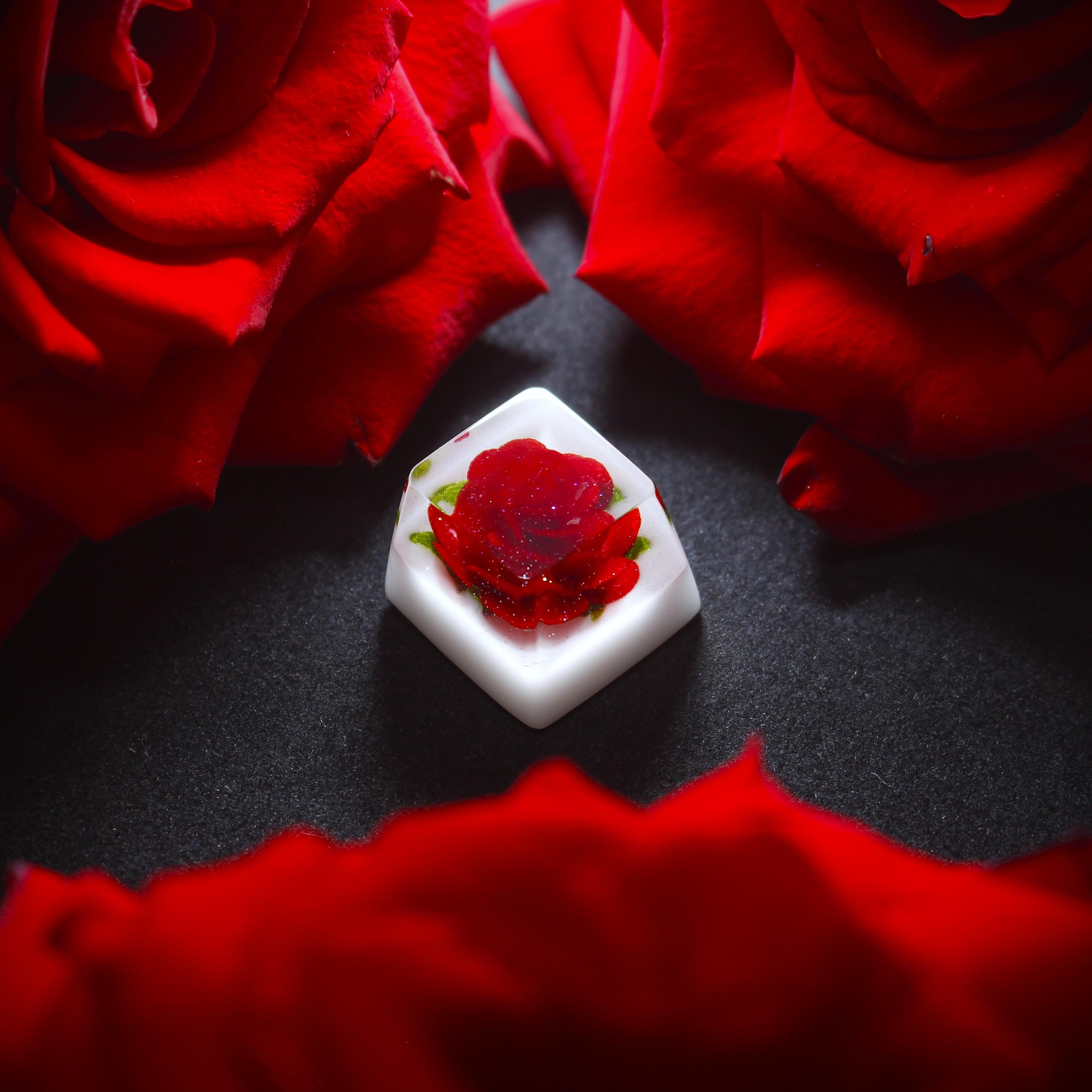 The Eye Key - Blue Rose - Antarctica Edition 316215-0