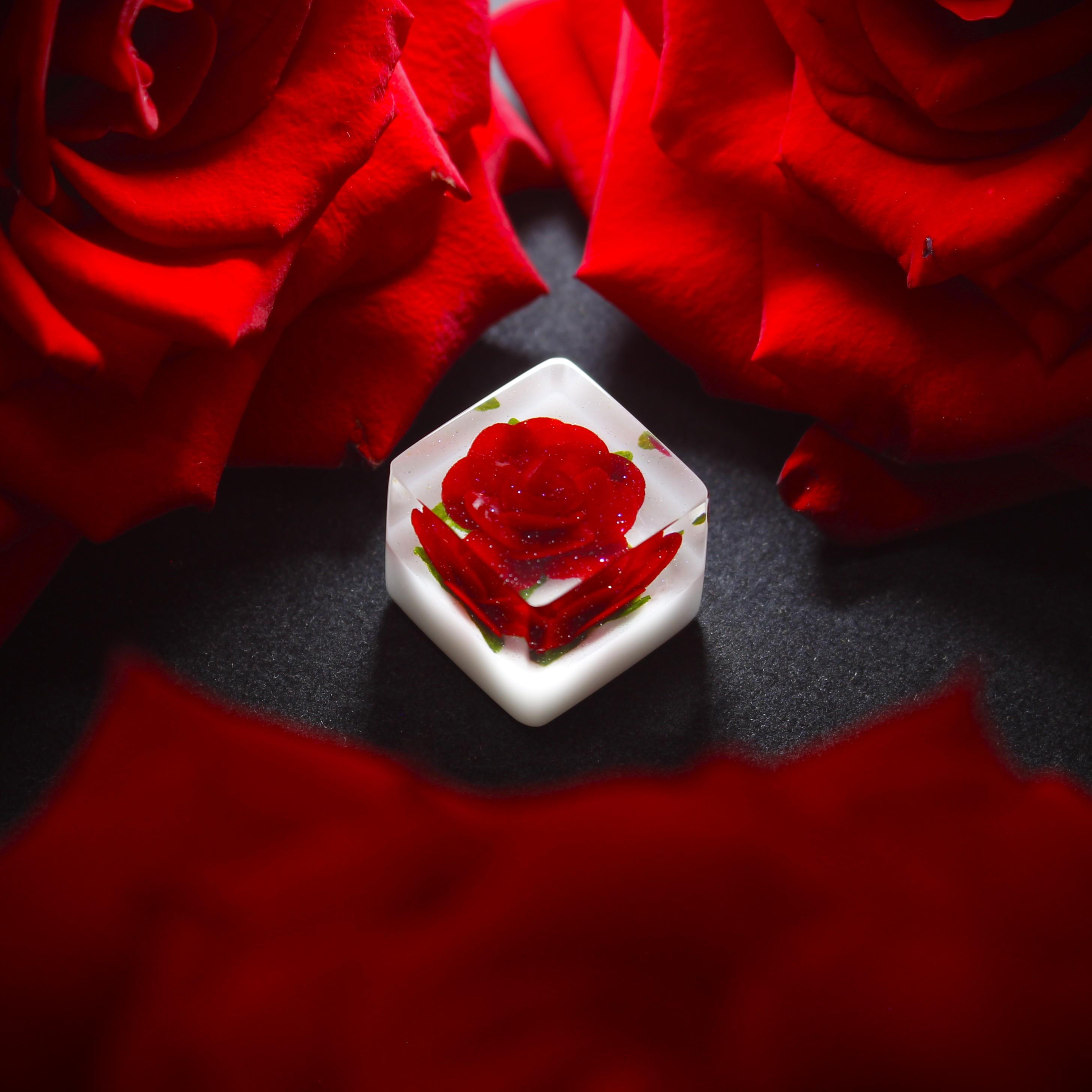 The Eye Key - Blue Rose - Antarctica Edition 316217-1